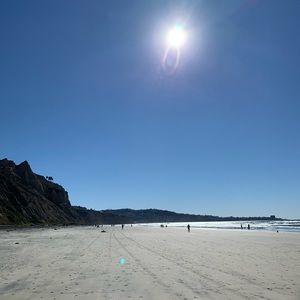 Meet your Posher, Annie